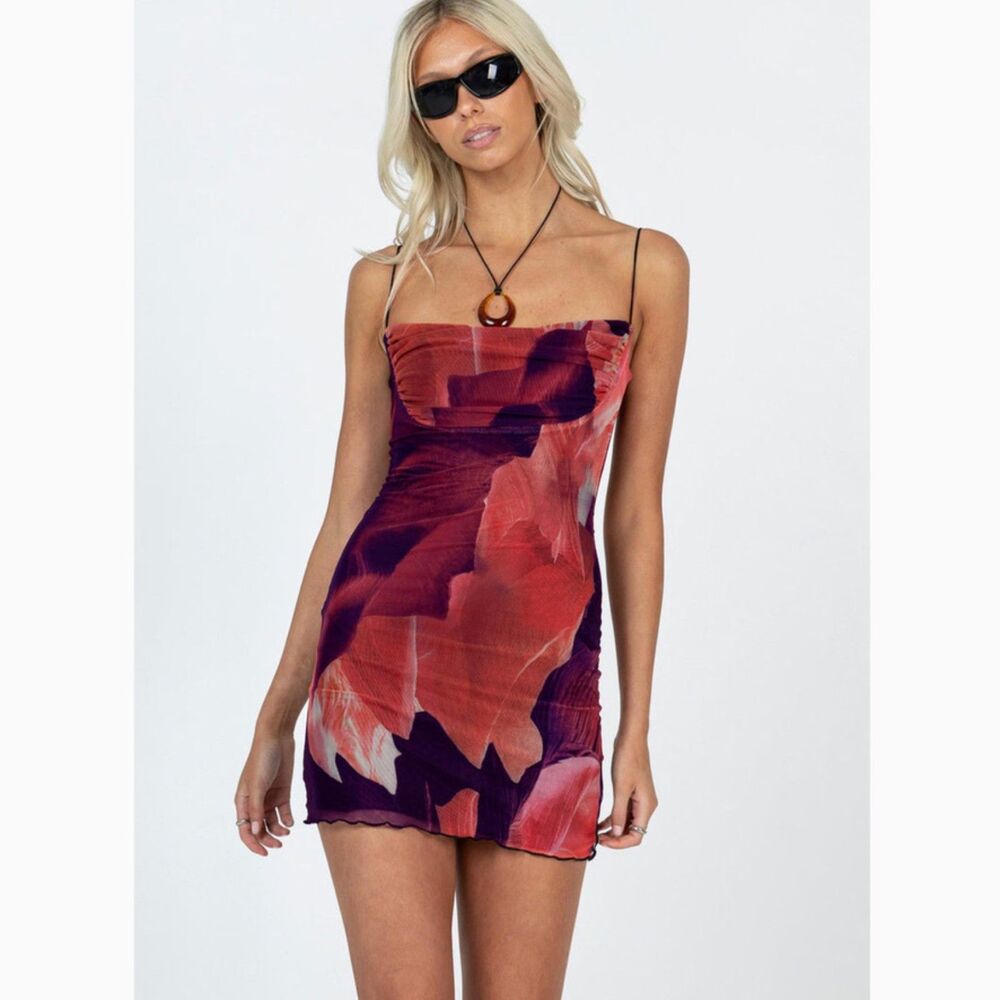 Princess Polly Red and Purple Mini Dress